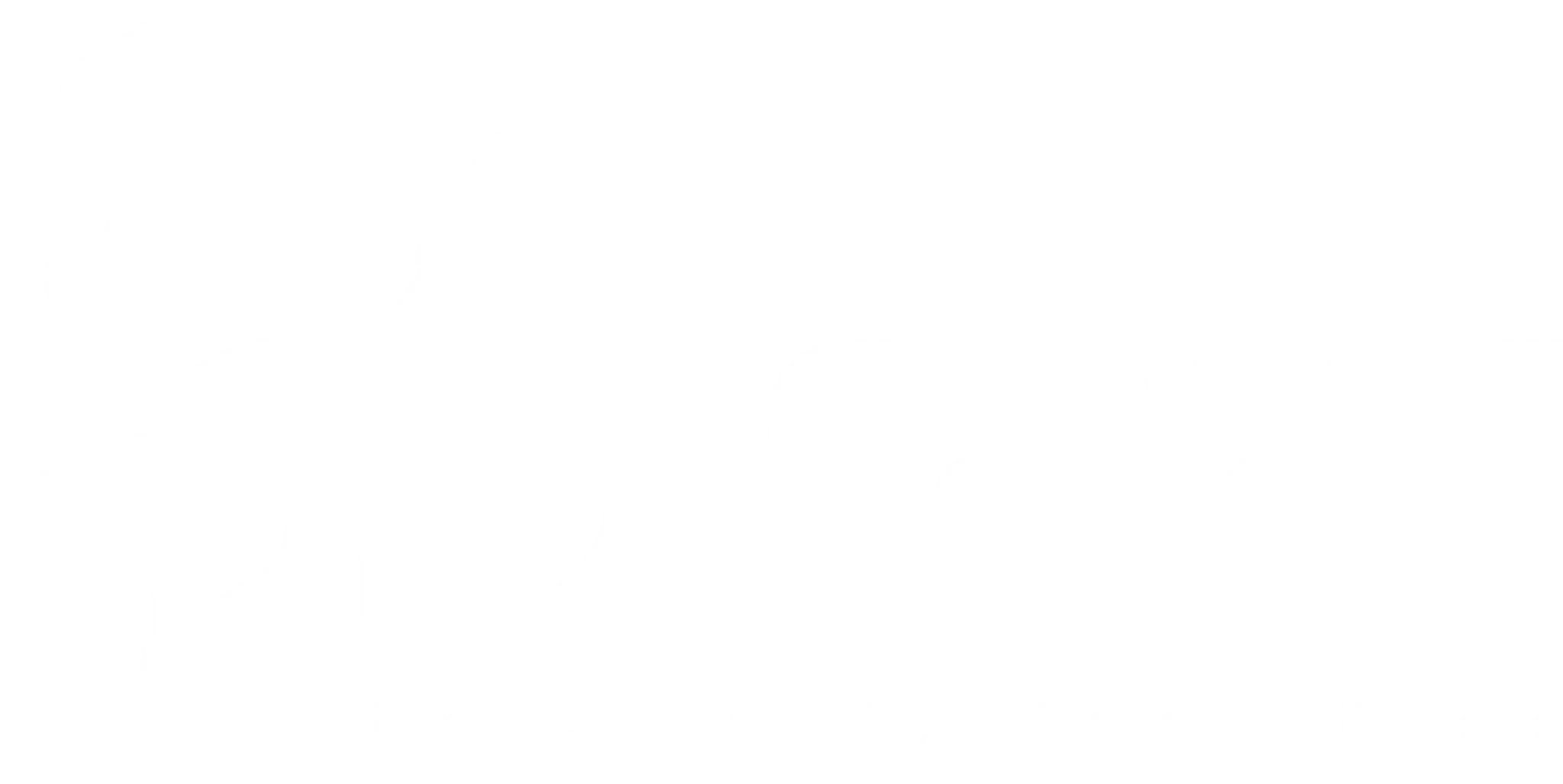 Qfeel